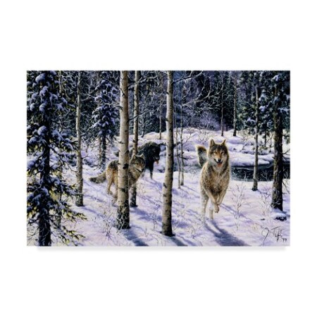 Trademark Fine Art Jeff Tift 'Pursuit' Canvas Art, 30x47 ALI30146-C3047GG